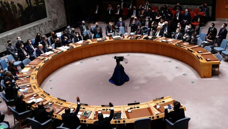 झुकती है दुनिया, झुकाने वाला चाहिए; भारत के दबाव के बाद पहली बार UNSC में शामिल हुआ सुधारों का विस्तृत पैराग्राफ