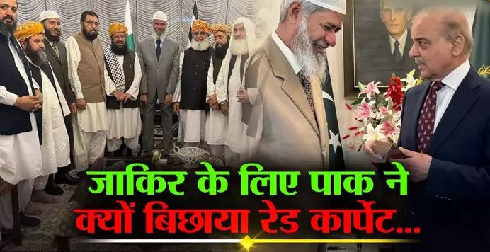 शहबाज सरकार की चापलूसी, मौलवियों-नेताओं का तांता: पाकिस्तान में क्यों घर जैसा महसूस करेगा भगोड़ा जाकिर?