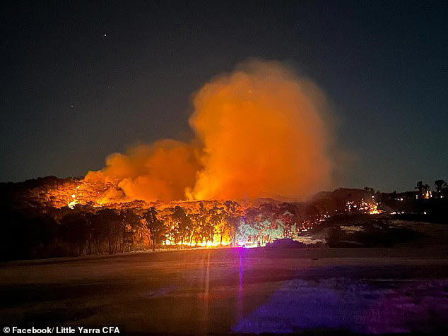 रिकॉर्ड तोड़ गर्मी में विक्टोरिया जलता हुआ, कई इलाकों में आपात स्थिति